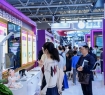 半导体材料、IC设计、先进封测——高交会半导体展区六大专区完整呈现集成电路全产业链